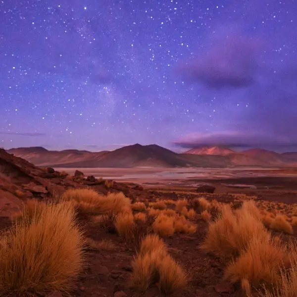 הרפתקה בלתי נשכחת במדבר אטקמה – גלו את סודות הצפון הצ'יליאני