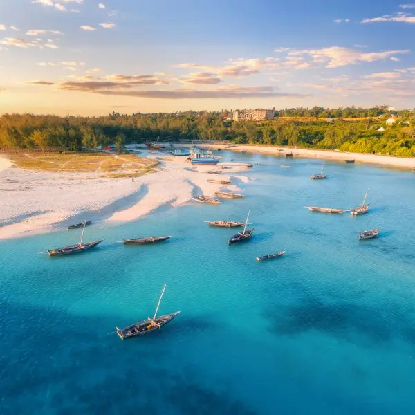 טוליארה האקזוטית: חוויה בלתי נשכחת במדגסקר!