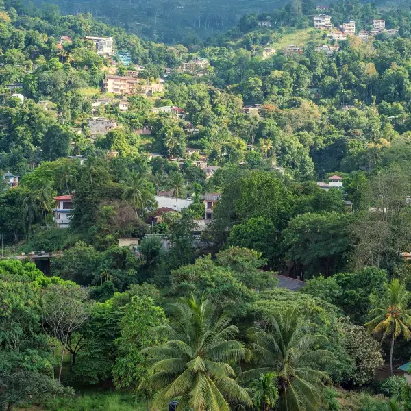 גלו את סרי לנקה הקסומה: הרפתקה בלתי נשכחת בקנדי!