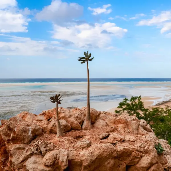 קורל קוסט: גן עדן טרופי עם חופים זהובים והרפתקאות קסומות