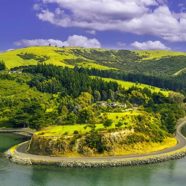 קרייסטצ'רץ' – הקסם של ניו זילנד בפתח ביתך!