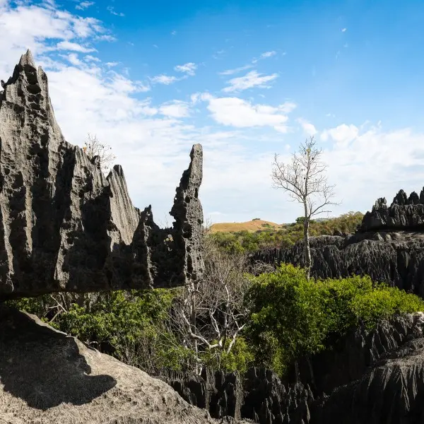 גלה את נומזי – הפנינה הנסתרת של מזרח אסיה!