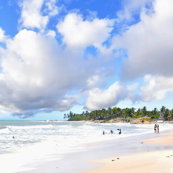 גלה הרפתקה בלתי נשכחת בלב הפועם של סרי לנקה - קולומבו!