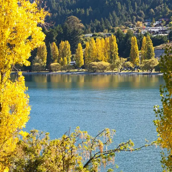 קווינסטאון: הרפתקאות מרגשות בניו זילנד מחכות לכם!