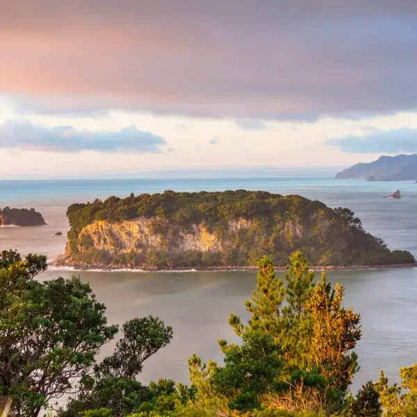 אוקלנד: הדופק החי של ניו זילנד