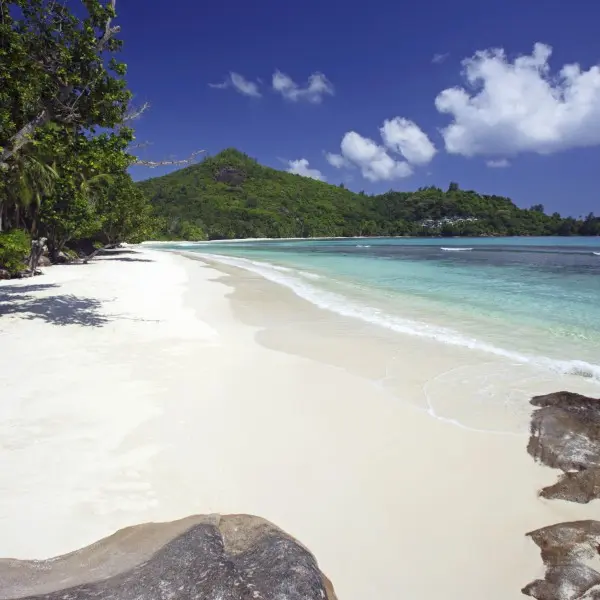 ״מהה - אי טרופי קסום בלב האוקיינוס״