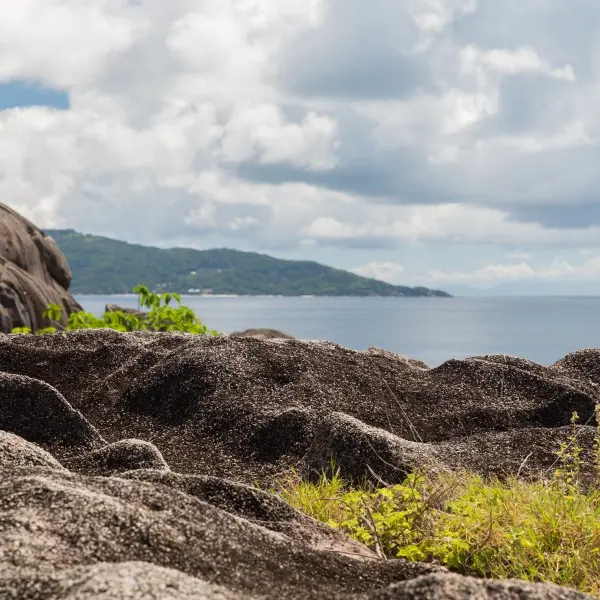 גלה את סוד גן העדן הנסתר של סיישל באי סילואט