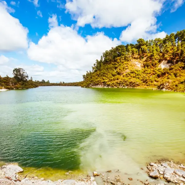 רוטורואה - חוויה גיאותרמית עוצרת נשימה בניו-זילנד
