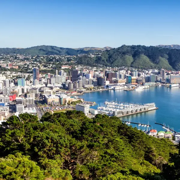 וולינגטון – הפנינה התרבותית והטבעית של ניו זילנד!