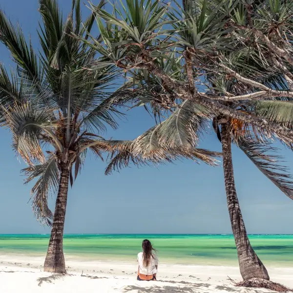 מומבסה: גן עדן טרופי על חופי האוקיינוס ההודי!