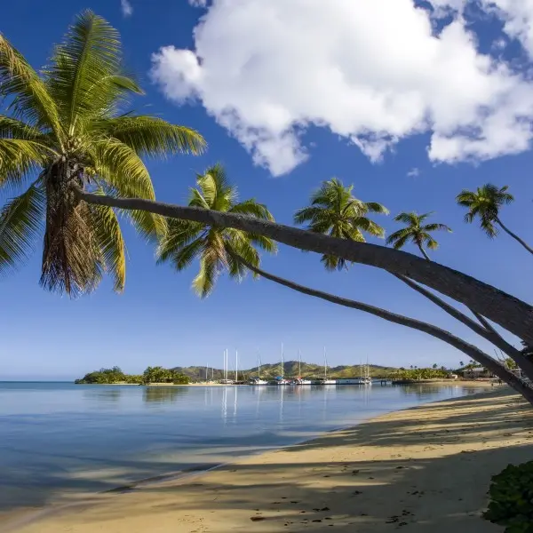 נארואה – גלו את גן העדן הנסתר של המזרח הרחוק!